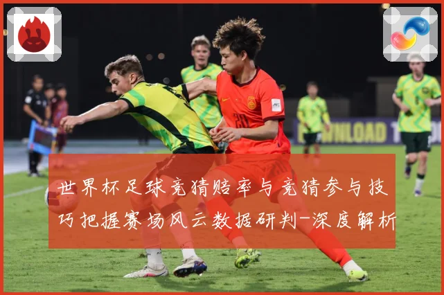 世界杯足球竞猜赔率与竞猜参与技巧把握赛场风云数据研判-深度解析