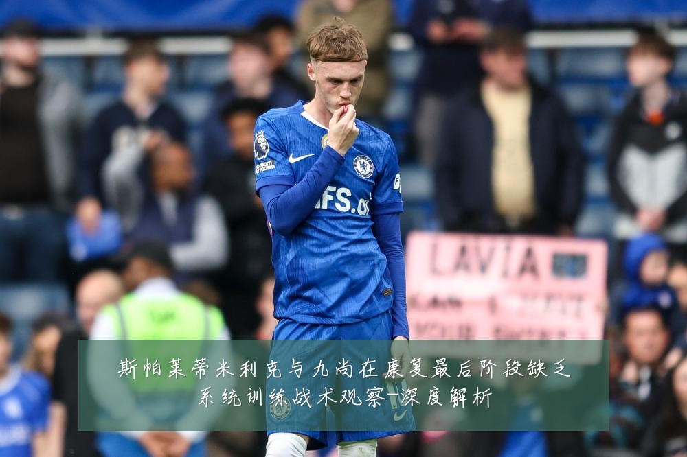 斯帕莱蒂米利克与九尚在康复最后阶段缺乏系统训练战术观察-深度解析